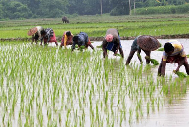 'खेती को कारखाने से जोड़ने से बढ़ेगा गांवों में रोजगार, किसानों की आय'