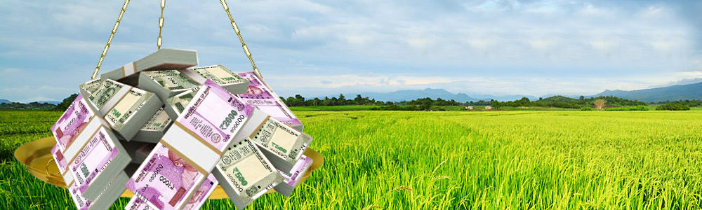 Non performing asset, crop loan